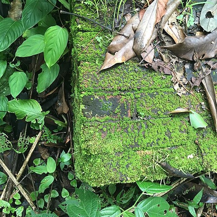 Photo de Camp central de Crique Anguille