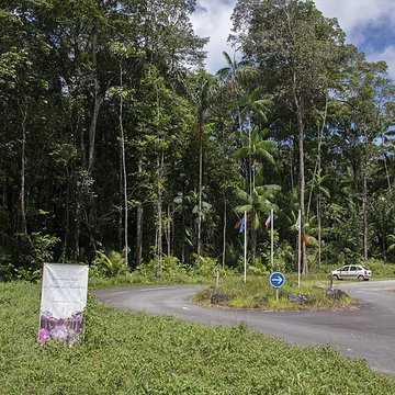 Camp central de Crique Anguille