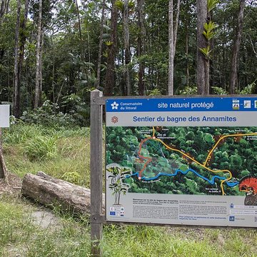 Camp central de Crique Anguille