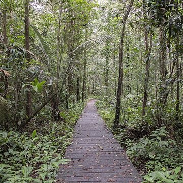 Camp central de Crique Anguille
