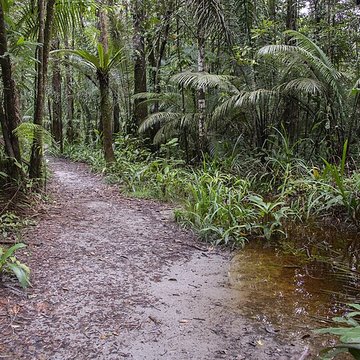 Camp central de Crique Anguille