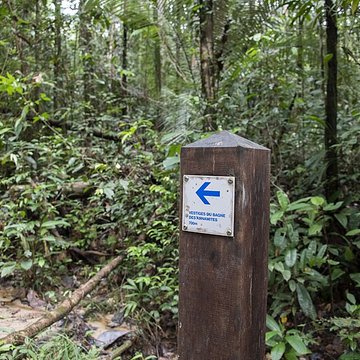 Camp central de Crique Anguille