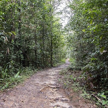 Camp central de Crique Anguille