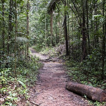 Camp central de Crique Anguille