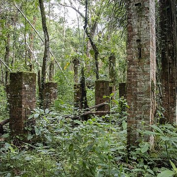 Camp central de Crique Anguille