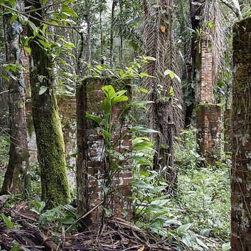 Camp central de Crique Anguille