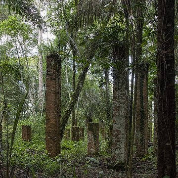 Camp central de Crique Anguille