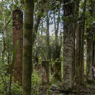 Camp central de Crique Anguille
