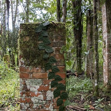 Camp central de Crique Anguille