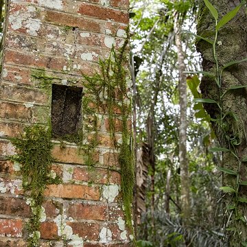 Camp central de Crique Anguille