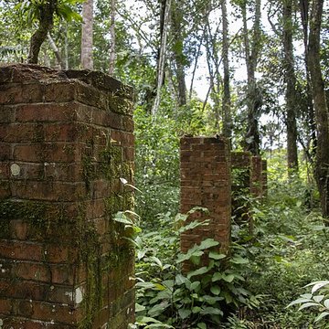 Camp central de Crique Anguille