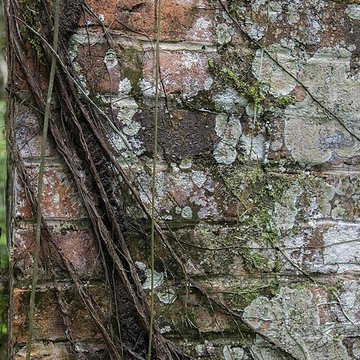 Camp central de Crique Anguille