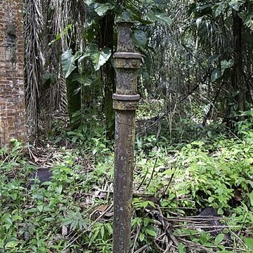 Camp central de Crique Anguille