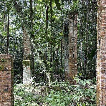 Camp central de Crique Anguille