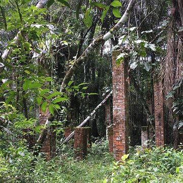 Camp central de Crique Anguille