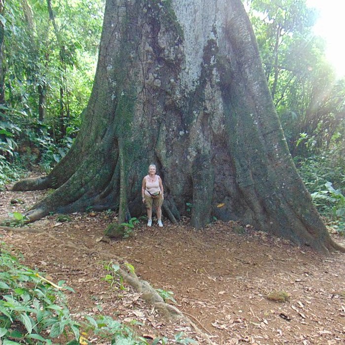 Photo de Habitation des Jésuites