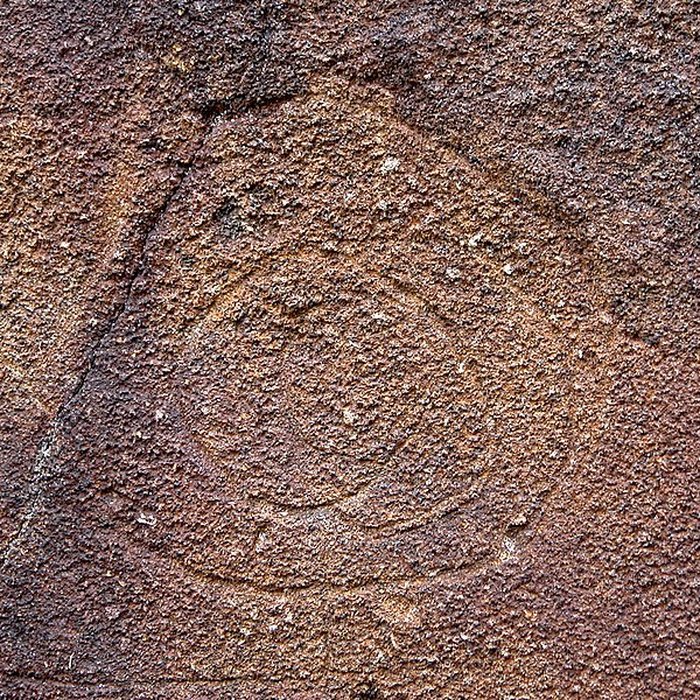 Photo de Le Serpent de Pascaud