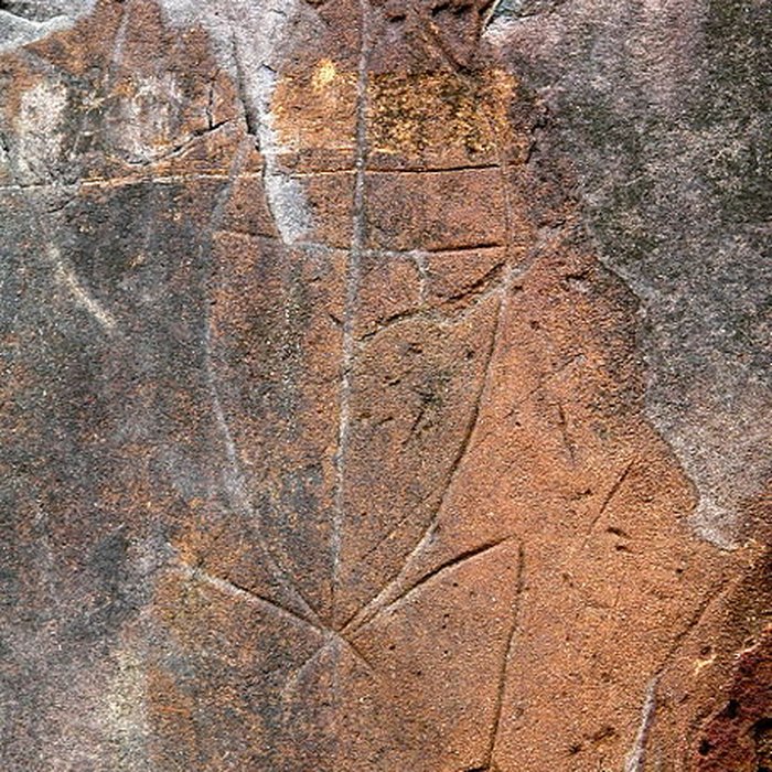 Photo de Le Serpent de Pascaud