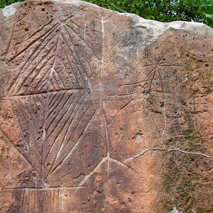 Photo de Le Serpent de Pascaud