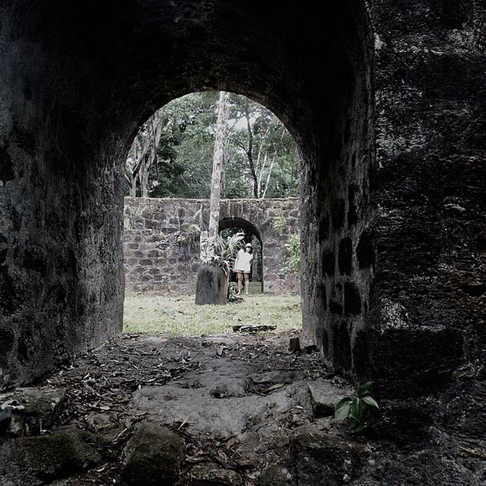 Photo de Vestiges de lancienne habitation Vidal ou Mondélice