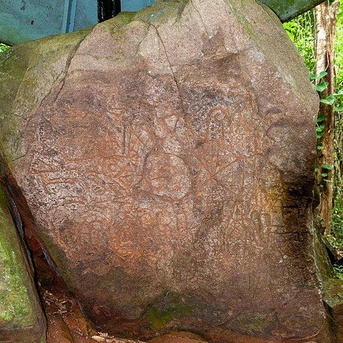 Photo de Roches gravées de la Montagne Favard