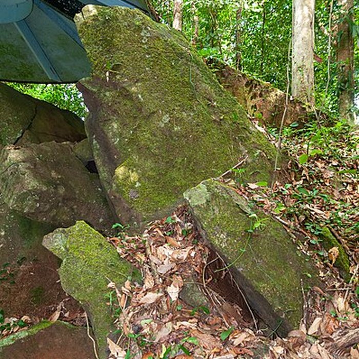 Photo de Roches gravées de la Montagne Favard