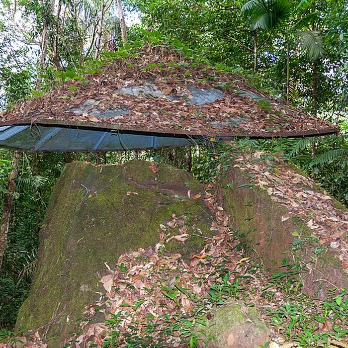 Photo de Roches gravées de la Montagne Favard