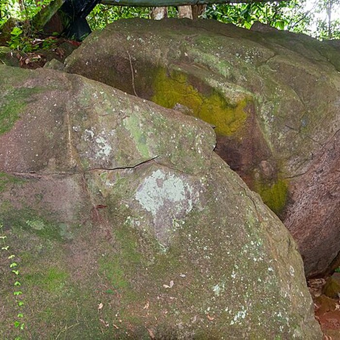Photo de Roches gravées de la Montagne Favard