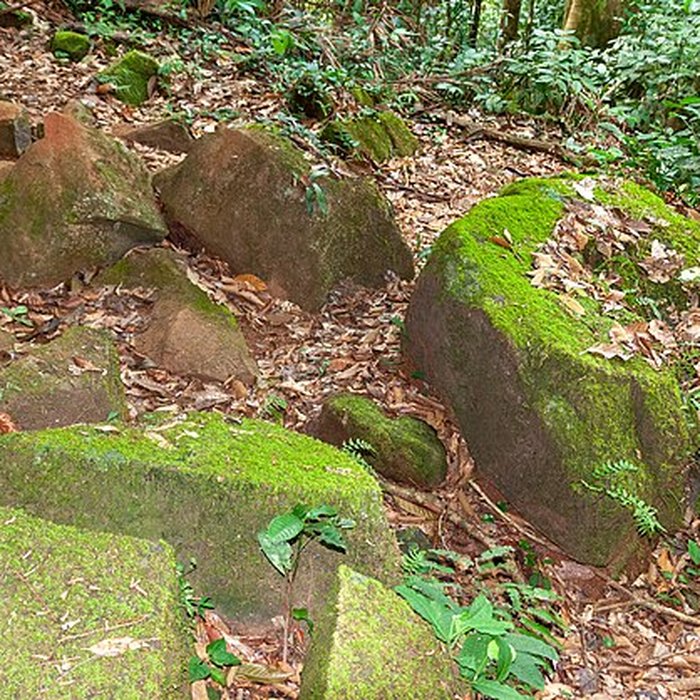 Photo de Roches gravées de la Montagne Favard