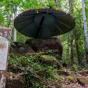 Roches gravées de la Montagne Favard