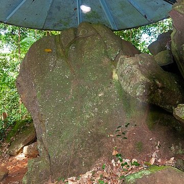 Roches gravées de la Montagne Favard