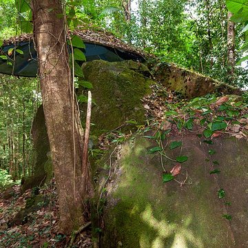 Roches gravées de la Montagne Favard