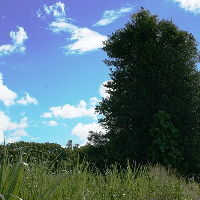Photo de Cheminée dite Le Colosse