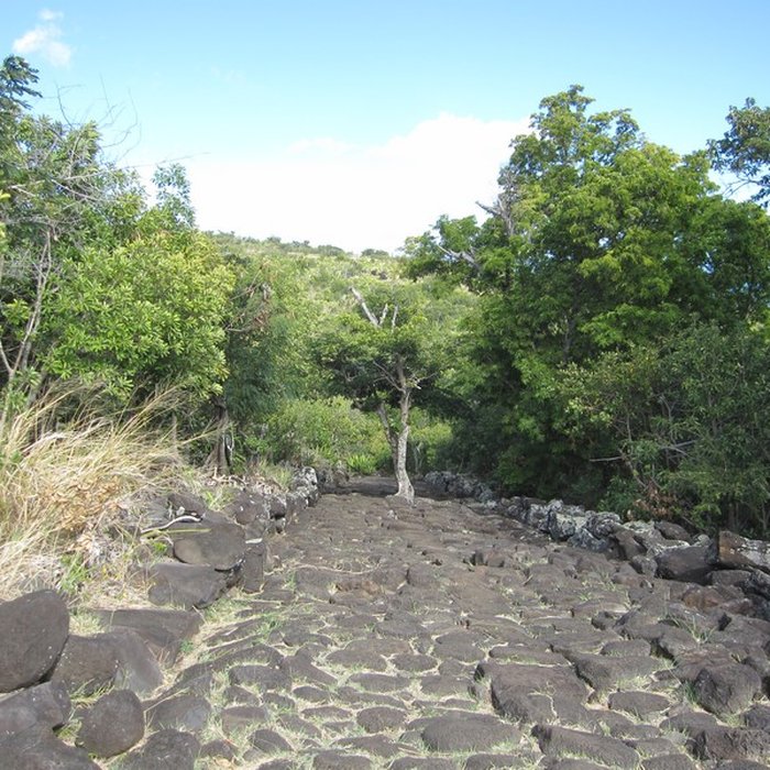 Photo de Chemin dit des Anglais