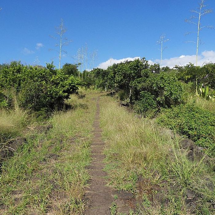 Photo de Chemin dit des Anglais