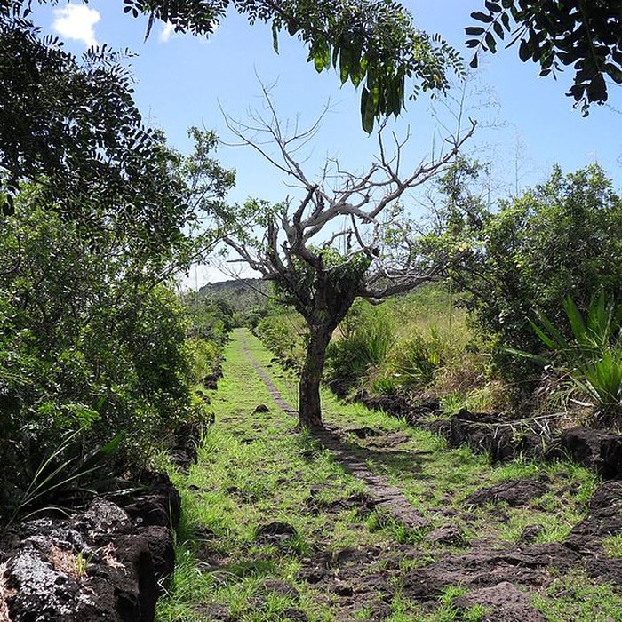 Photo de Chemin dit des Anglais