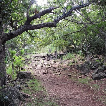 Chemin dit des Anglais