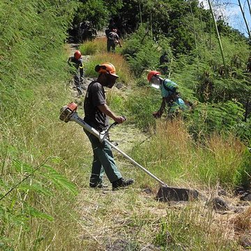 Chemin dit des Anglais