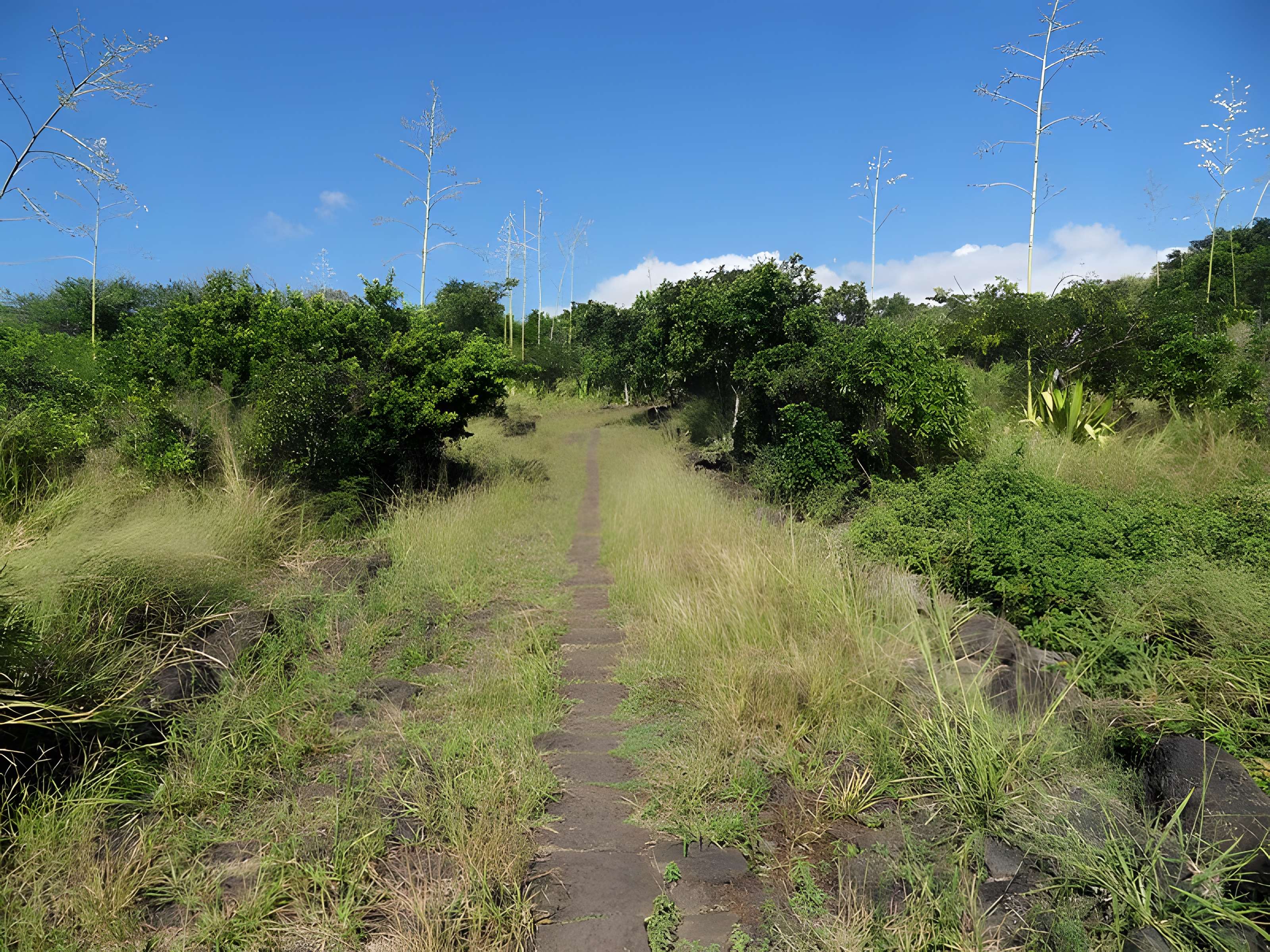 Chemin dit des Anglais