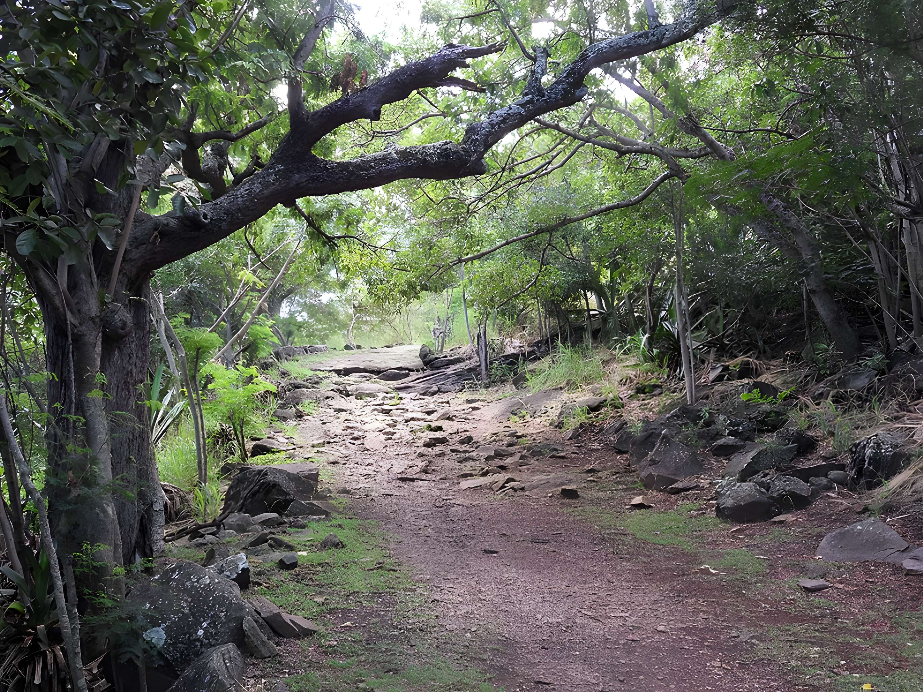 Chemin dit des Anglais