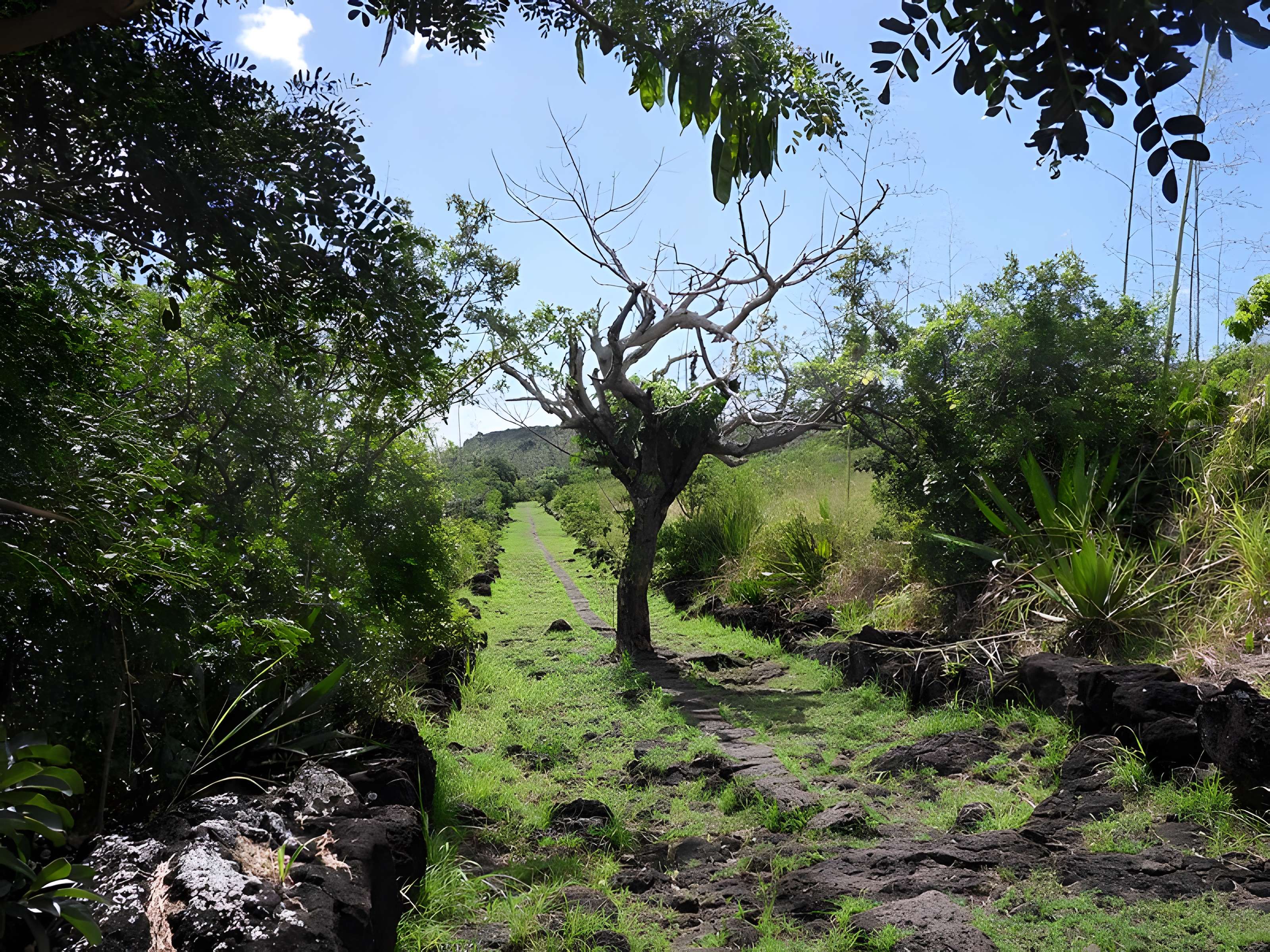 Chemin dit des Anglais