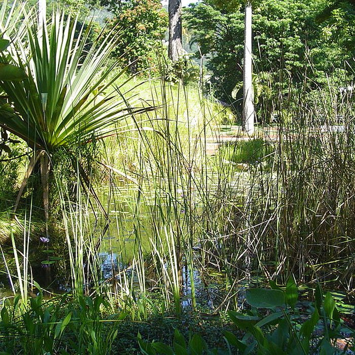 Photo de Muséum dHistoire Naturelle