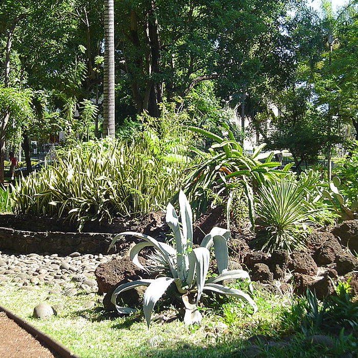 Photo de Muséum dHistoire Naturelle