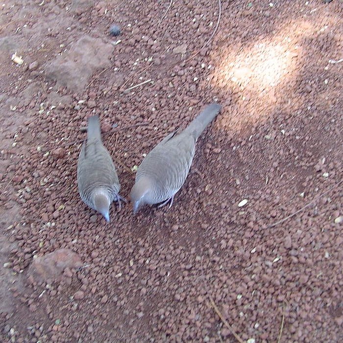 Photo de Muséum dHistoire Naturelle