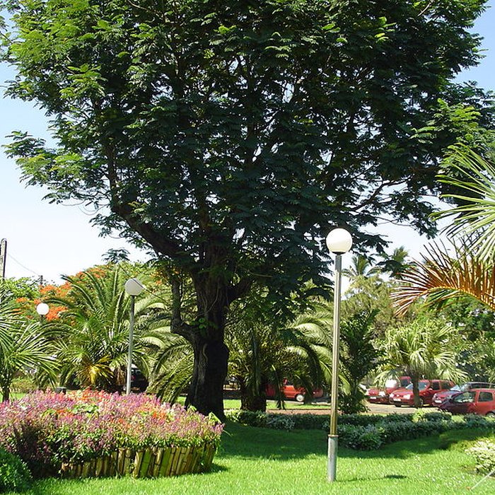 Photo de Muséum dHistoire Naturelle
