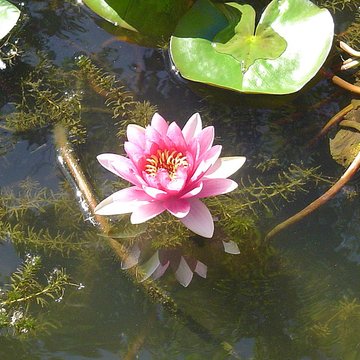 Muséum dHistoire Naturelle