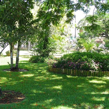 Muséum dHistoire Naturelle