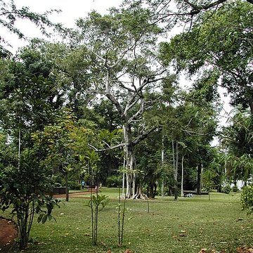 Muséum dHistoire Naturelle