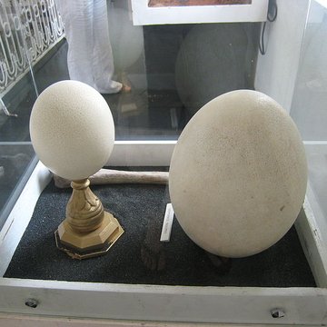 Muséum dHistoire Naturelle