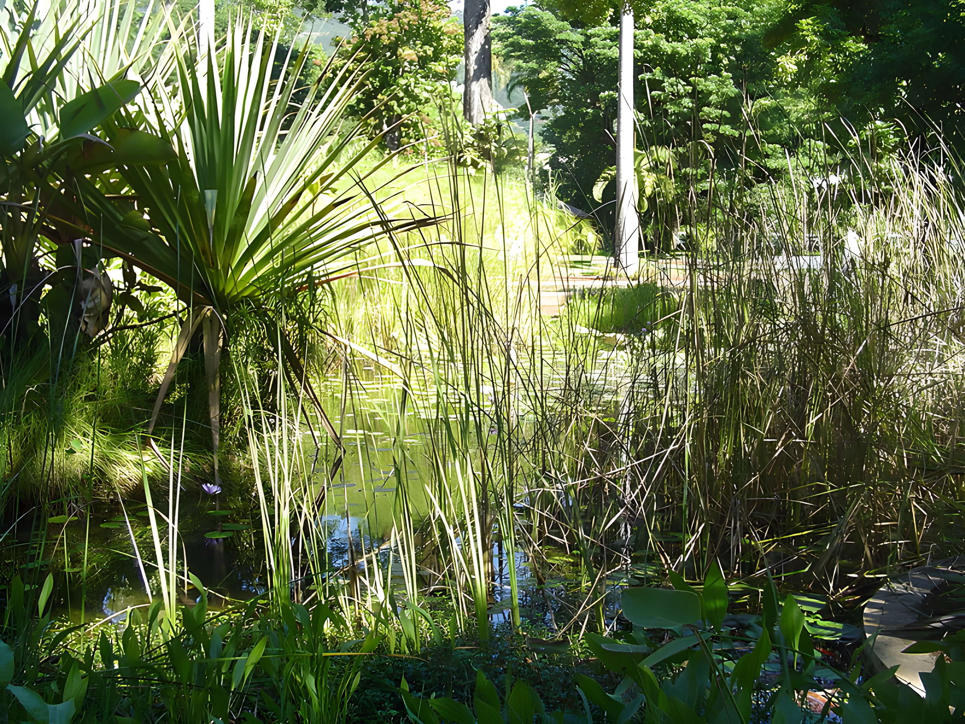 Muséum d'Histoire Naturelle